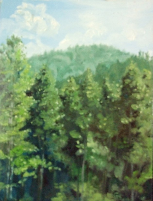 En Plein Air Painting Chattahoochee National Forest by Ginger Dean